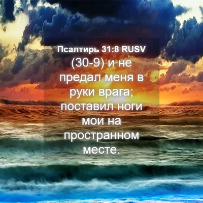 Picture 04 - Псалтирь 31:8 RUSV - (30-9) и не предал меня в руки - Bible Verse Picture