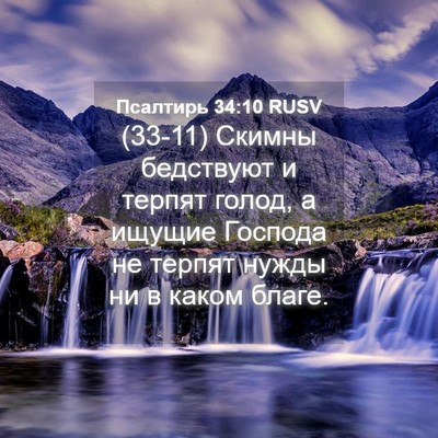 Picture 04 - Псалтирь 34:10 RUSV - (33-11) Скимны бедствуют и - Bible Verse Picture