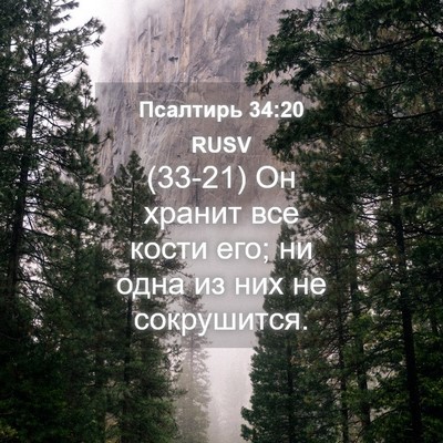Picture 04 - Псалтирь 34:20 RUSV - (33-21) Он хранит все кости - Bible Verse Picture