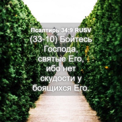 Picture 04 - Псалтирь 34:9 RUSV - (33-10) Бойтесь Господа, - Bible Verse Picture