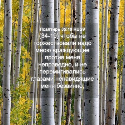 Picture 04 - Псалтирь 35:19 RUSV - (34-19) чтобы не - Bible Verse Picture