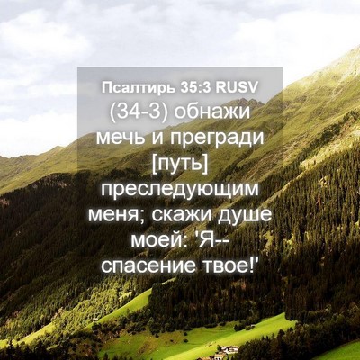 Picture 04 - Псалтирь 35:3 RUSV - (34-3) обнажи мечь и прегради - Bible Verse Picture