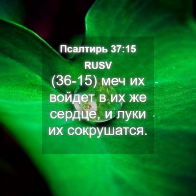Picture 04 - Псалтирь 37:15 RUSV - (36-15) меч их войдет в их же - Bible Verse Picture