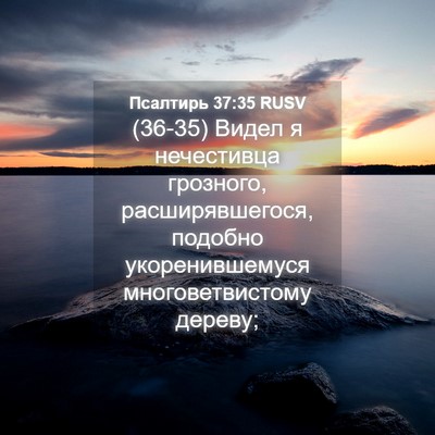 Picture 04 - Псалтирь 37:35 RUSV - (36-35) Видел я нечестивца - Bible Verse Picture