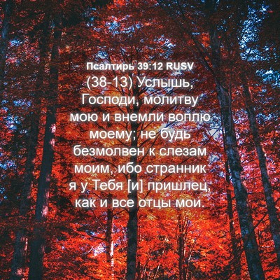 Picture 04 - Псалтирь 39:12 RUSV - (38-13) Услышь, Господи, - Bible Verse Picture