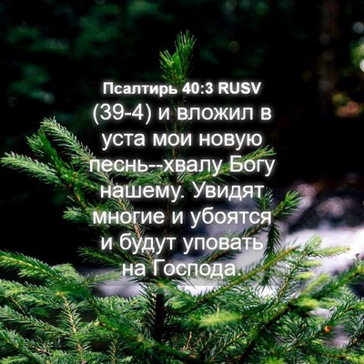 Picture 04 - Псалтирь 40:3 RUSV - (39-4) и вложил в уста мои - Bible Verse Picture