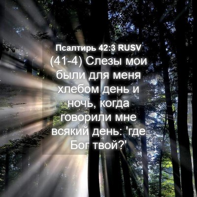 Picture 04 - Псалтирь 42:3 RUSV - (41-4) Слезы мои были для меня - Bible Verse Picture