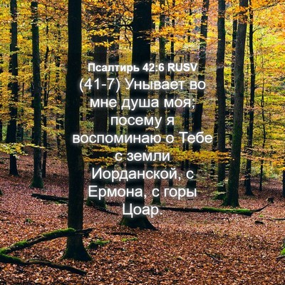 Picture 04 - Псалтирь 42:6 RUSV - (41-7) Унывает во мне душа - Bible Verse Picture