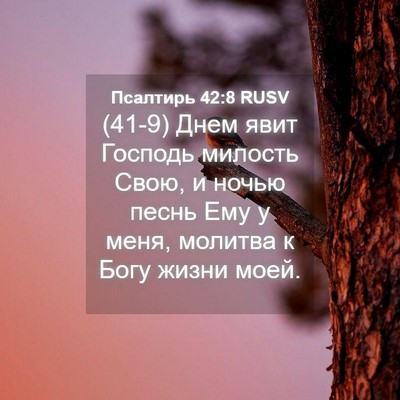 Picture 04 - Псалтирь 42:8 RUSV - (41-9) Днем явит Господь - Bible Verse Picture