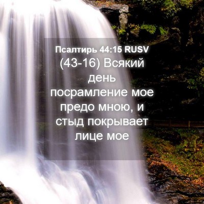 Picture 04 - Псалтирь 44:15 RUSV - (43-16) Всякий день - Bible Verse Picture
