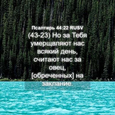 Picture 04 - Псалтирь 44:22 RUSV - (43-23) Но за Тебя умерщвляют - Bible Verse Picture