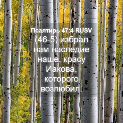 Picture 04 - Псалтирь 47:4 RUSV - (46-5) избрал нам наследие - Bible Verse Picture
