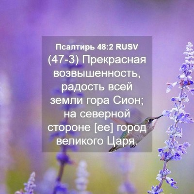 Picture 04 - Псалтирь 48:2 RUSV - (47-3) Прекрасная - Bible Verse Picture