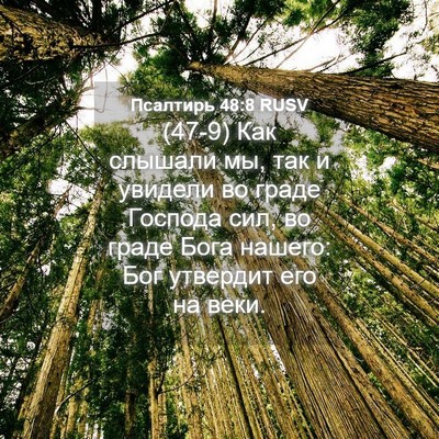 Picture 04 - Псалтирь 48:8 RUSV - (47-9) Как слышали мы, так и - Bible Verse Picture
