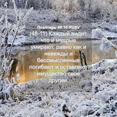 Picture 04 - Псалтирь 49:10 RUSV - (48-11) Каждый видит, что и - Bible Verse Picture