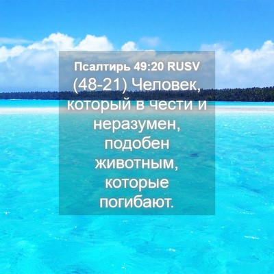 Picture 04 - Псалтирь 49:20 RUSV - (48-21) Человек, который в - Bible Verse Picture