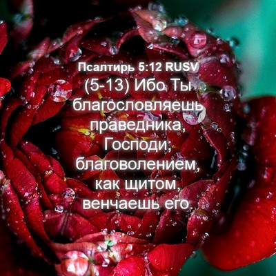 Picture 04 - Псалтирь 5:12 RUSV - (5-13) Ибо Ты благословляешь - Bible Verse Picture