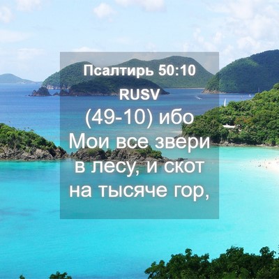 Picture 04 - Псалтирь 50:10 RUSV - (49-10) ибо Мои все звери в - Bible Verse Picture