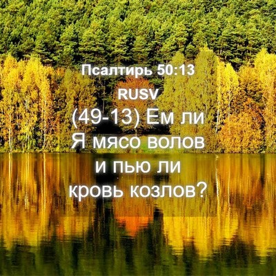 Picture 04 - Псалтирь 50:13 RUSV - (49-13) Ем ли Я мясо волов и - Bible Verse Picture