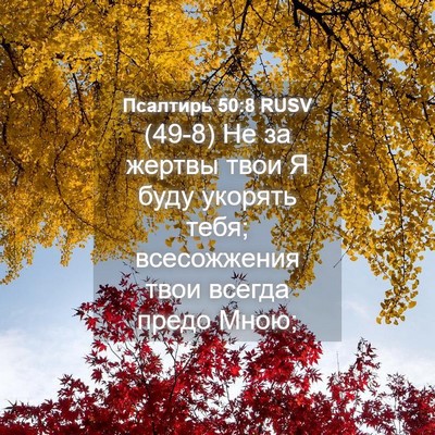 Picture 04 - Псалтирь 50:8 RUSV - (49-8) Не за жертвы твои Я - Bible Verse Picture