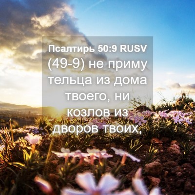 Picture 04 - Псалтирь 50:9 RUSV - (49-9) не приму тельца из дома - Bible Verse Picture