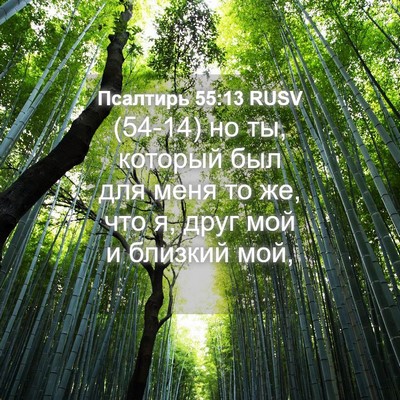 Picture 04 - Псалтирь 55:13 RUSV - (54-14) но ты, который был для - Bible Verse Picture