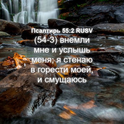 Picture 04 - Псалтирь 55:2 RUSV - (54-3) внемли мне и услышь - Bible Verse Picture