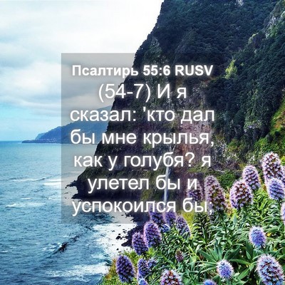 Picture 04 - Псалтирь 55:6 RUSV - (54-7) И я сказал: 'кто дал бы - Bible Verse Picture