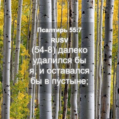 Picture 04 - Псалтирь 55:7 RUSV - (54-8) далеко удалился бы я, и - Bible Verse Picture