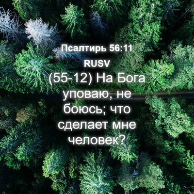 Picture 04 - Псалтирь 56:11 RUSV - (55-12) На Бога уповаю, не - Bible Verse Picture