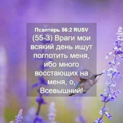 Picture 04 - Псалтирь 56:2 RUSV - (55-3) Враги мои всякий день - Bible Verse Picture