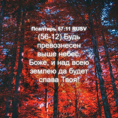 Picture 04 - Псалтирь 57:11 RUSV - (56-12) Будь превознесен выше - Bible Verse Picture