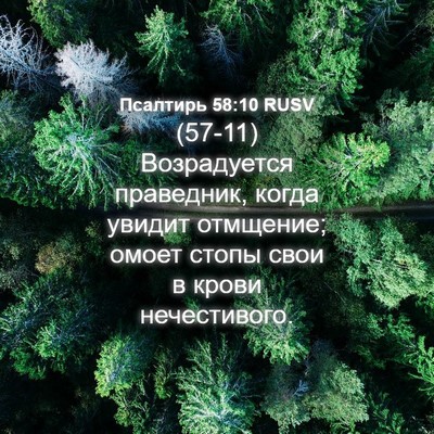 Picture 04 - Псалтирь 58:10 RUSV - (57-11) Возрадуется - Bible Verse Picture