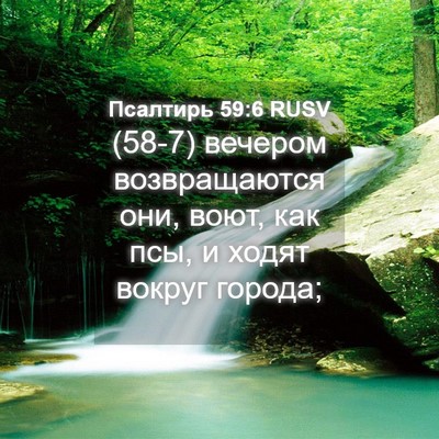 Picture 04 - Псалтирь 59:6 RUSV - (58-7) вечером возвращаются - Bible Verse Picture
