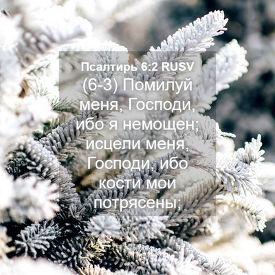 Picture 04 - Псалтирь 6:2 RUSV - (6-3) Помилуй меня, Господи, - Bible Verse Picture