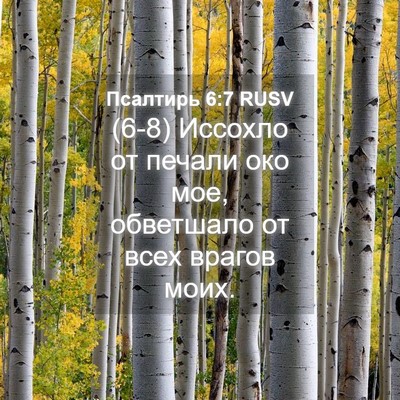 Picture 04 - Псалтирь 6:7 RUSV - (6-8) Иссохло от печали око - Bible Verse Picture