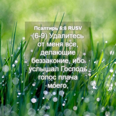 Picture 04 - Псалтирь 6:8 RUSV - (6-9) Удалитесь от меня все, - Bible Verse Picture