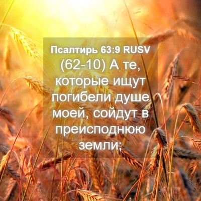Picture 04 - Псалтирь 63:9 RUSV - (62-10) А те, которые ищут - Bible Verse Picture