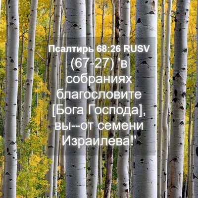 Picture 04 - Псалтирь 68:26 RUSV - (67-27) 'в собраниях - Bible Verse Picture