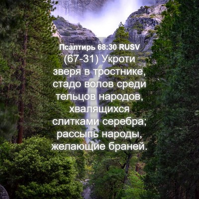 Picture 04 - Псалтирь 68:30 RUSV - (67-31) Укроти зверя в - Bible Verse Picture