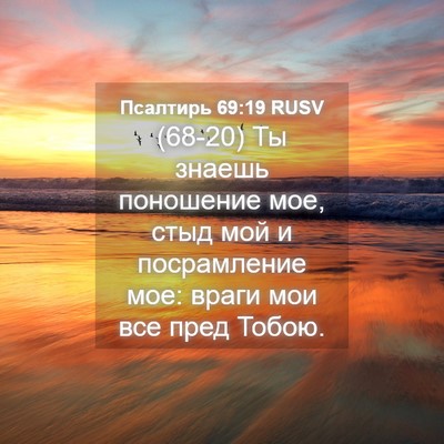 Picture 04 - Псалтирь 69:19 RUSV - (68-20) Ты знаешь поношение - Bible Verse Picture