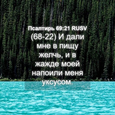 Picture 04 - Псалтирь 69:21 RUSV - (68-22) И дали мне в пищу - Bible Verse Picture