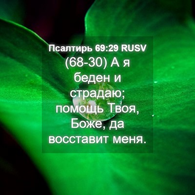 Picture 04 - Псалтирь 69:29 RUSV - (68-30) А я беден и страдаю; - Bible Verse Picture