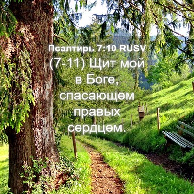 Picture 04 - Псалтирь 7:10 RUSV - (7-11) Щит мой в Боге, - Bible Verse Picture