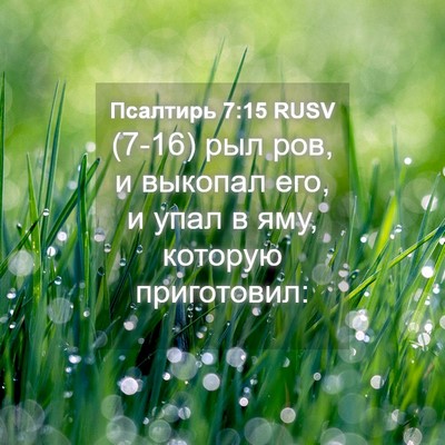 Picture 04 - Псалтирь 7:15 RUSV - (7-16) рыл ров, и выкопал его, - Bible Verse Picture