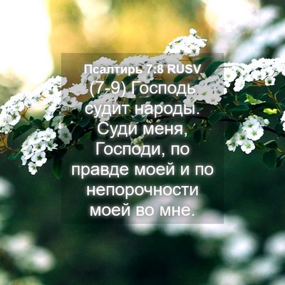 Picture 04 - Псалтирь 7:8 RUSV - (7-9) Господь судит народы. - Bible Verse Picture