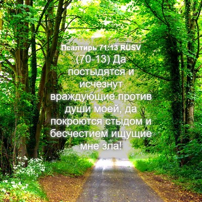Picture 04 - Псалтирь 71:13 RUSV - (70-13) Да постыдятся и - Bible Verse Picture