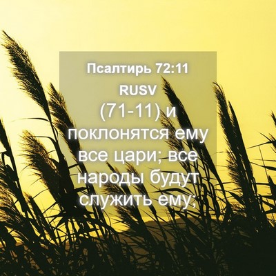 Picture 04 - Псалтирь 72:11 RUSV - (71-11) и поклонятся ему все - Bible Verse Picture