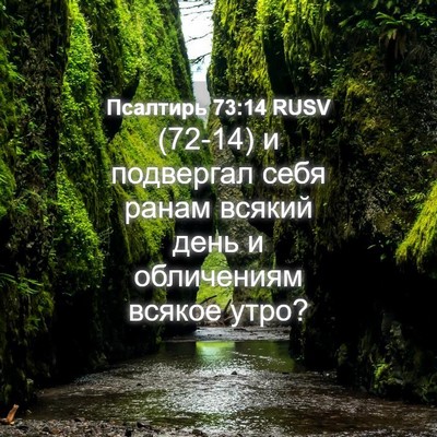 Picture 04 - Псалтирь 73:14 RUSV - (72-14) и подвергал себя ранам - Bible Verse Picture