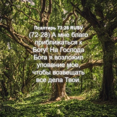 Picture 04 - Псалтирь 73:28 RUSV - (72-28) А мне благо - Bible Verse Picture